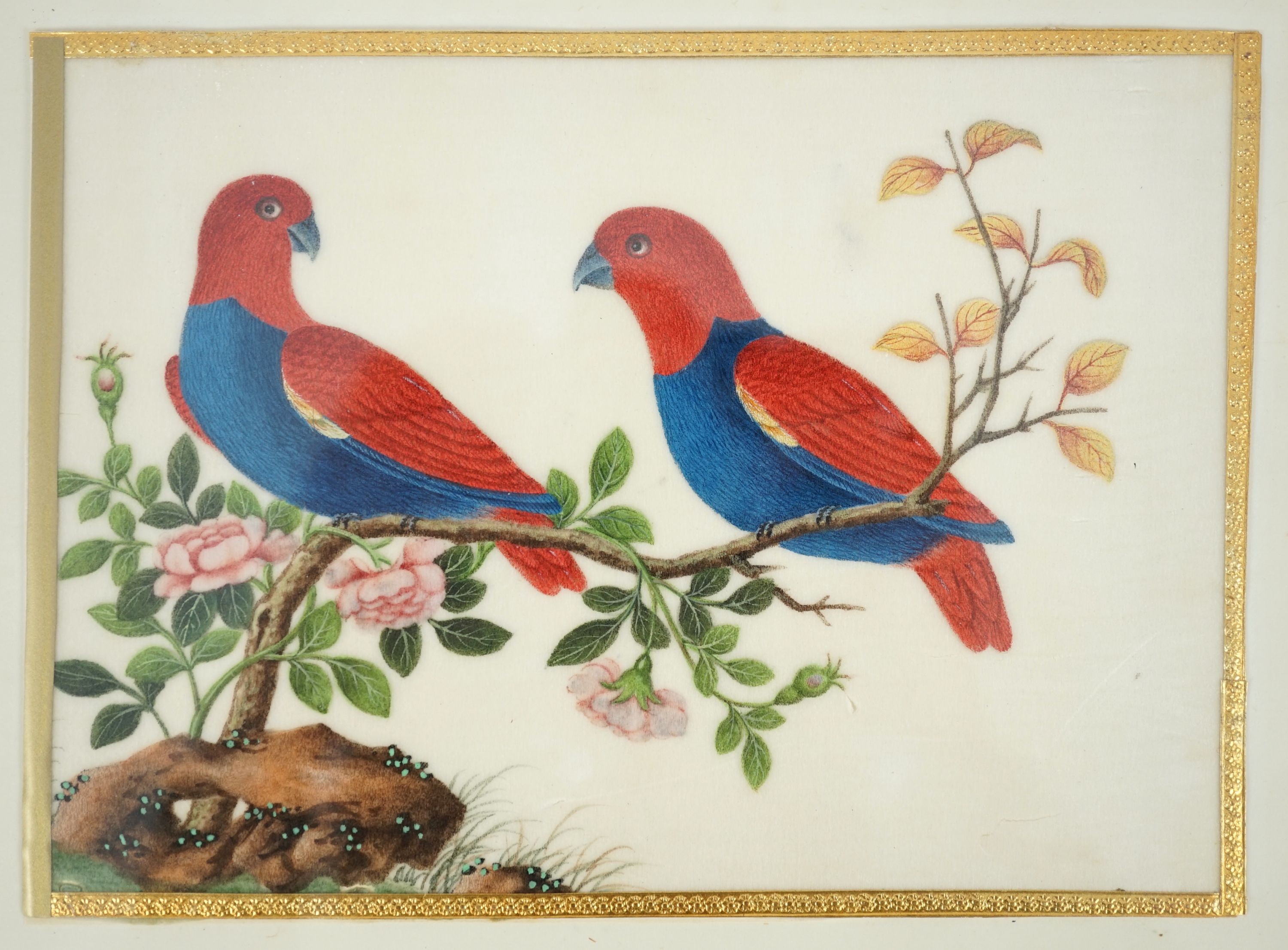 A set of 16 Chinese pith paintings of birds and flowers, mid 19th century, Largest Image 12cm x 18cm